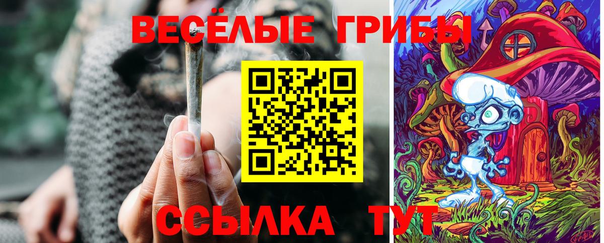 Псилоцибиновые грибы MAGIC MUSHROOMS Каспийск
