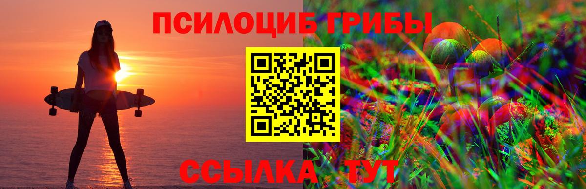 купить наркотики цена  Вход с VPN  Каспийск  Псилоцибиновые грибы Magic Shrooms 